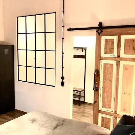 Zum Schwarzen Tiger Inkl. Parkplatz 公寓 埃尔福特