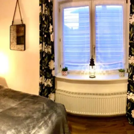 Zum Schwarzen Tiger Inkl. Parkplatz 埃尔福特