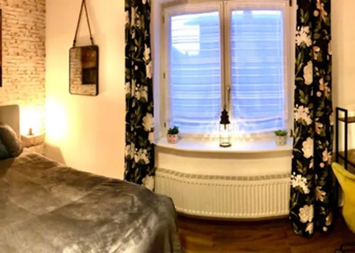 Zum Schwarzen Tiger Inkl. Parkplatz Erfurt