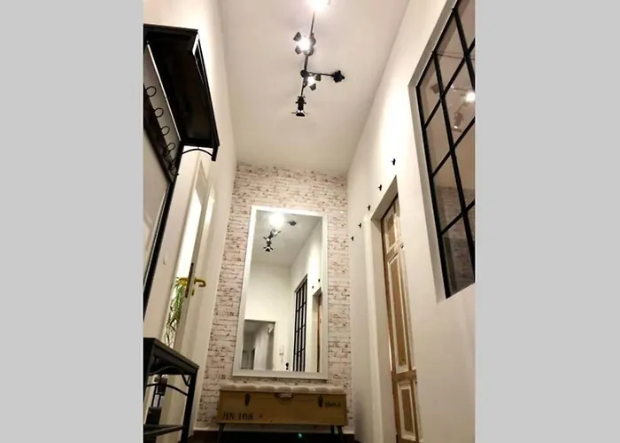 Zum Schwarzen Tiger Inkl. Parkplatz Apartment Erfurt